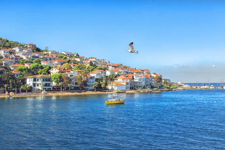 Sail around the island