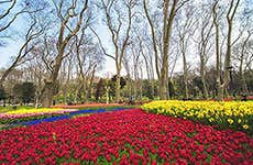 Istanbul Travel Guide